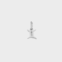 Zodiac Charms - Stainless Steel