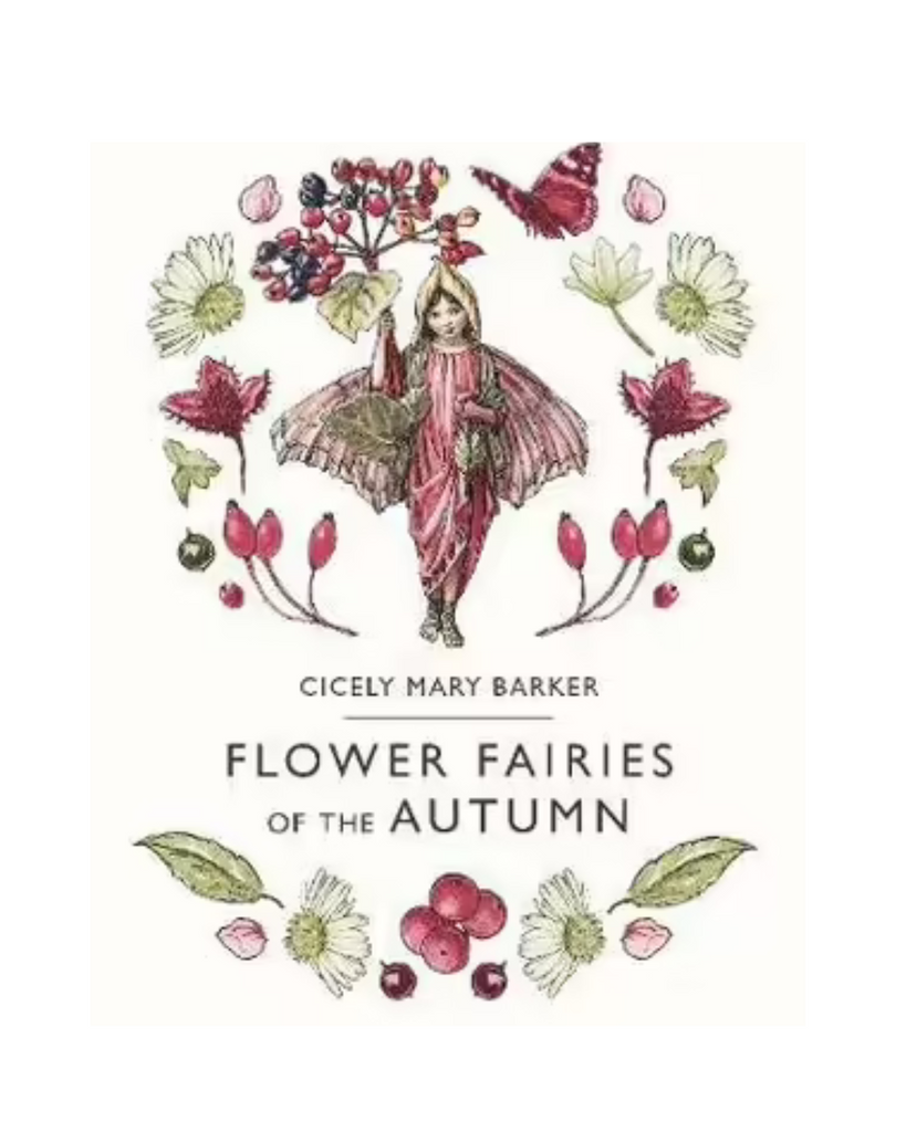 Flower Fairies of the Autumn Book-Tiny Trader- Tiny Trader - Gold Coast Kids Shop - Gold Coast Baby Shop -