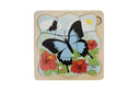 Life Cycle Layer Puzzle