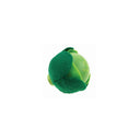 Wooden Fruit & Vegetables-Kaper Kidz-Lettuce- Tiny Trader - Gold Coast Baby Shop