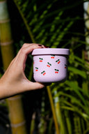 CHERUB SNACK POT  (250ml)