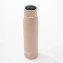 The Boly Bottle