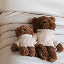 Milo bear- mini | soft toy