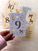 My First Number flash card set