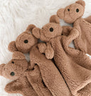 Little Teddy Comforter Toy