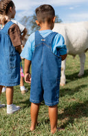 Anywhere Overalls