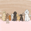 Oodles Of Poodles Named Noodles - Book