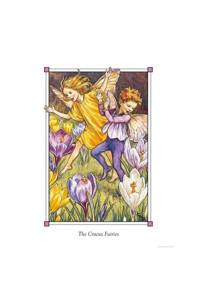 Flower Fairies of the Spring Book-Tiny Trader-Tiny Trader