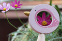 CALM & BREEZY BABY ANIMAL MAGNIFYING GLASS