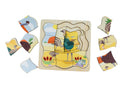 Life Cycle Layer Puzzle