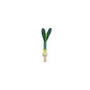 Wooden Fruit & Vegetables-Kaper Kidz-Spring Onion- Tiny Trader - Gold Coast Baby Shop
