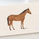 Horse // Card