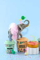 Party Animal in Orange (240ml)