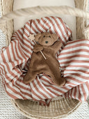 Little Teddy Comforter Toy