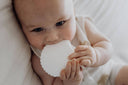 Shell | Teether