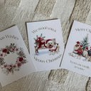 Family Christmas Card Collection 10 Pack